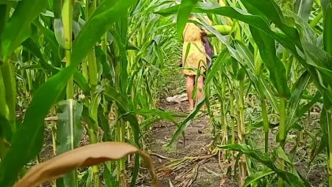omg sexy hairy milf masturbates with corncob in cornfield 1733502540